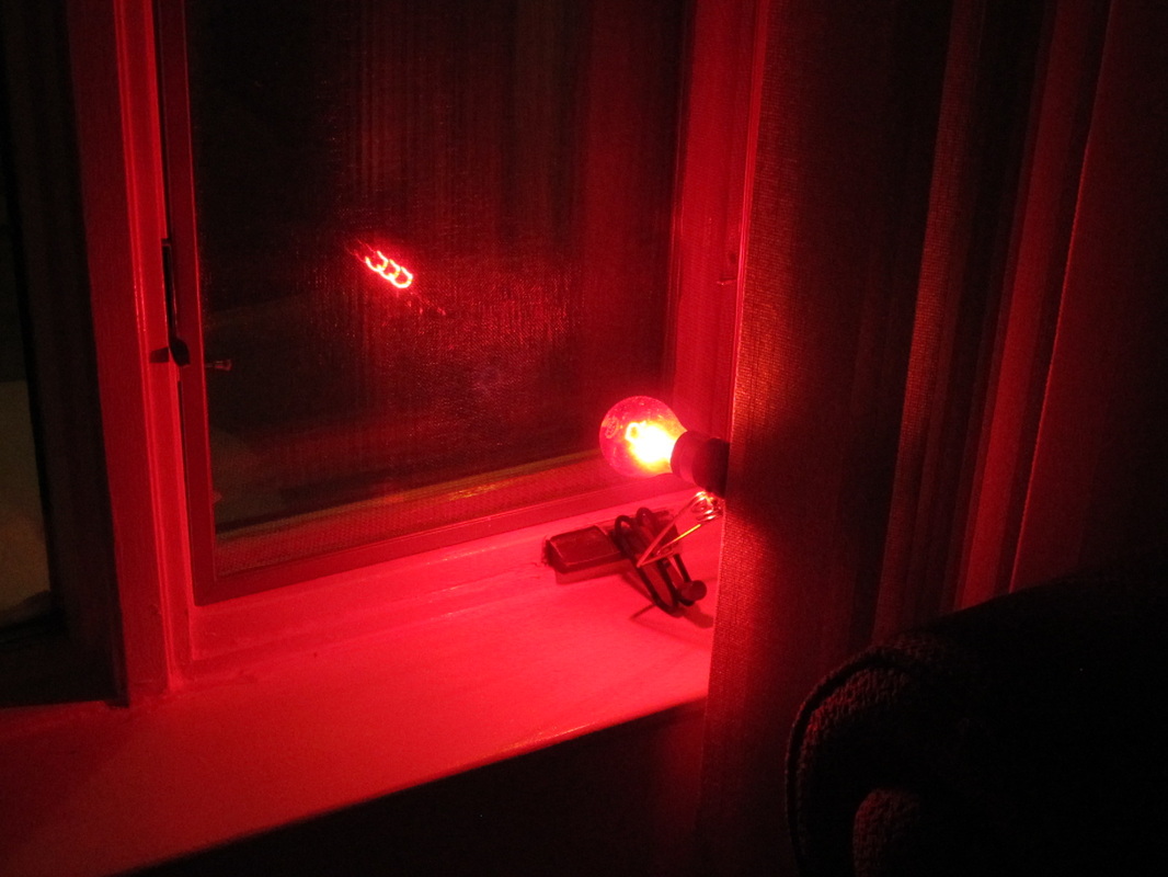 you don't have to...) Your Red Light -